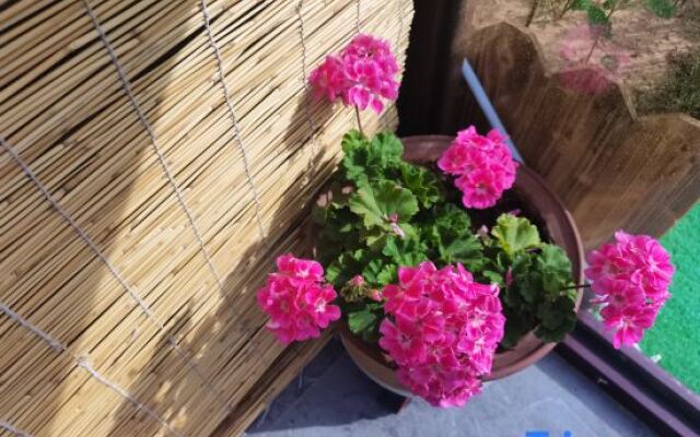 One Sleep One She B&B