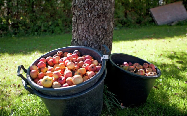 Plush Apartment in Vandans with Garden near Public Transport