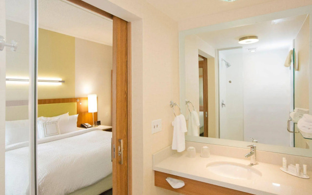 Springhill Suites by Marriott Pittsburgh Mt. Lebanon