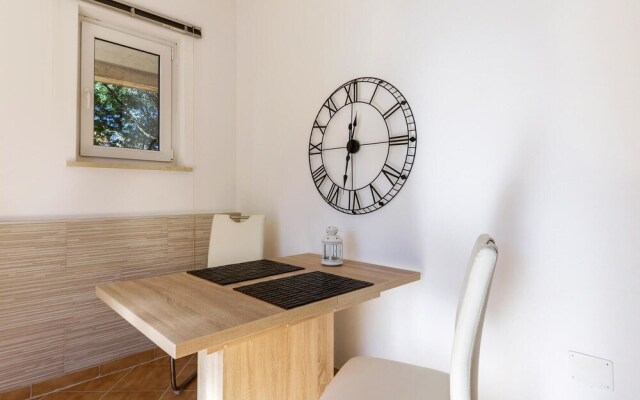 Awesome Home in Novigrad With Wifi and 1 Bedrooms