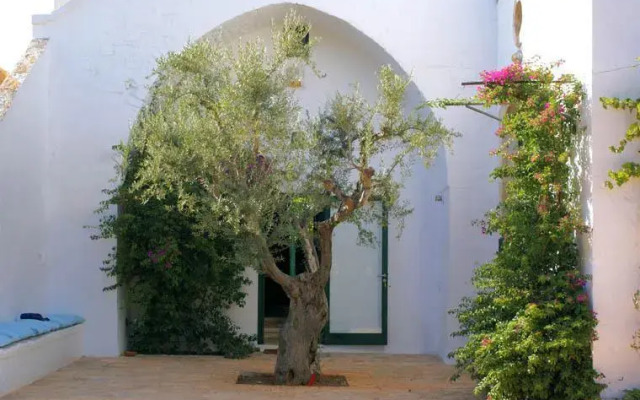 Masseria Sacerdote B&B
