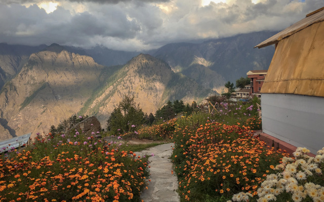 Auli Resort