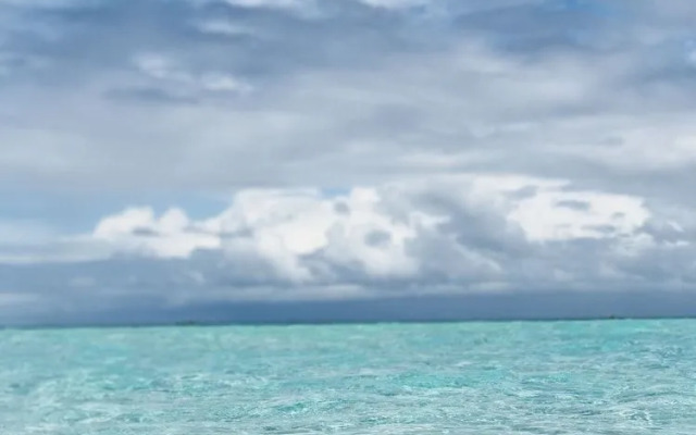 White Coral Rasdhoo
