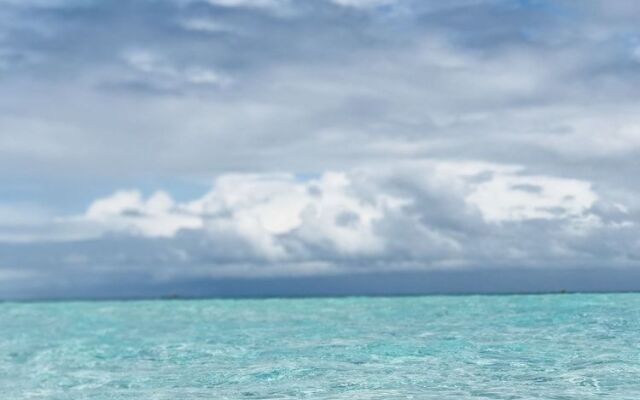 White Coral Rasdhoo
