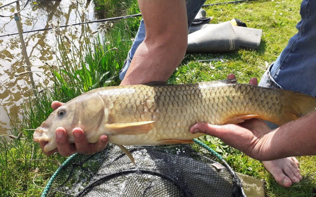 Thornbury Holiday Park