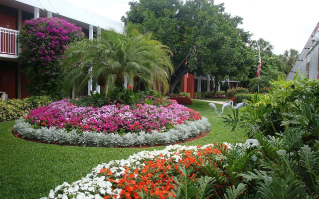 Collins Hotel Naples
