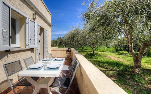 Apartment with 2 Bedrooms in Taglio-Isolaccio, with Wonderful Mountain View, Enclosed Garden And Wifi - 15 Km From the Beach