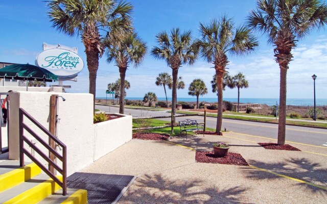 Ocean Forest 2309