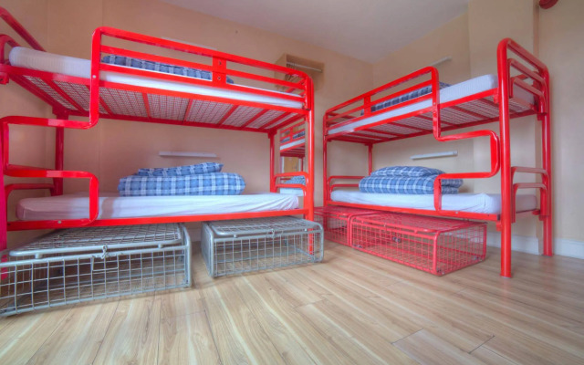 Snoozles Forster Street Tourist Hostel