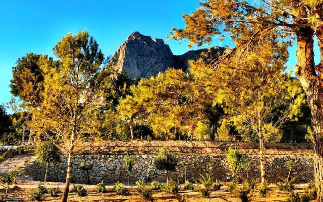 Puig Campana Nature Suites Hotel & BTT