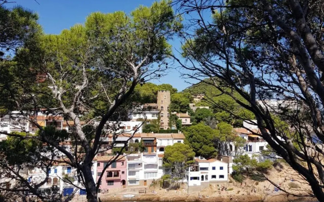 Mareva
