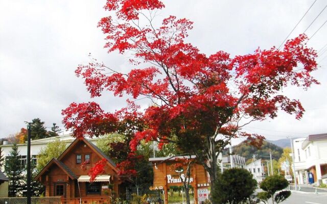 Cottage Primal Stage