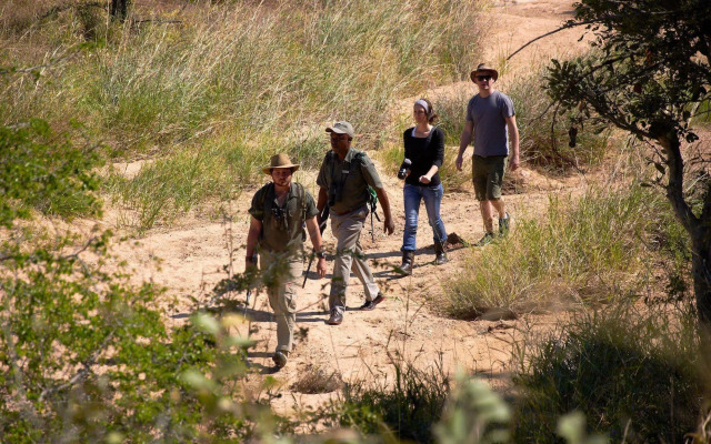 Shindzela Tented Safari Camp
