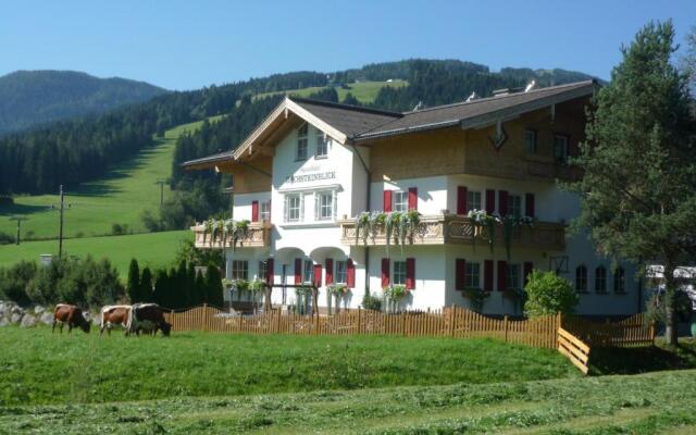 Aparthotel Dachsteinblick