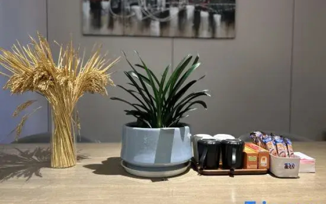 Jiaxing xinyu express hotel