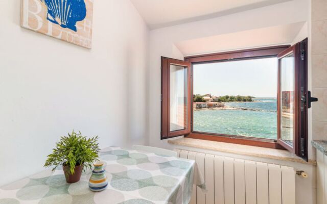 Antonella & Napoletano 17946