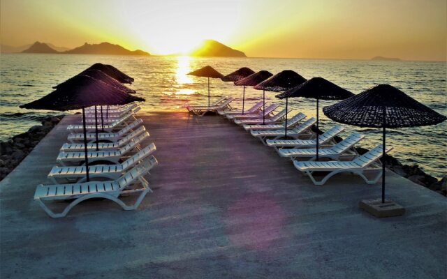 Sunset Mavi