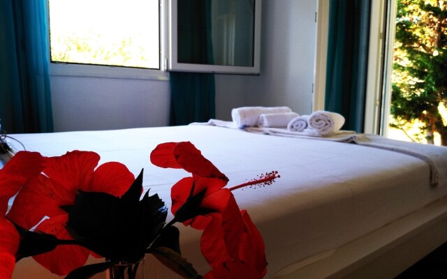 Alekos Beach Houses-Caretta