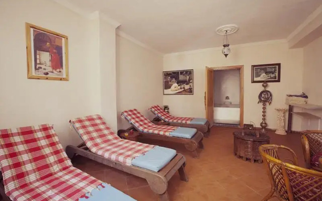 Catty Cats Garden Hotel