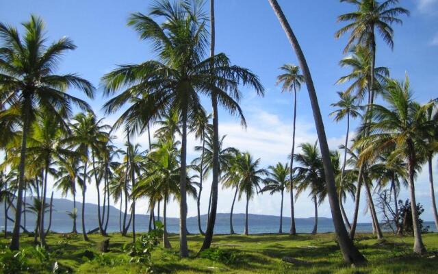 Palm-covered house in the tropical -Casa Oli