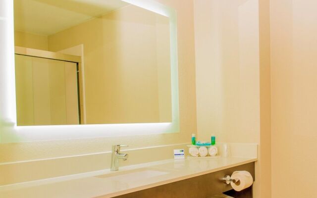 Holiday Inn Express Hotel & Suites St. Petersburg North (I-275)
