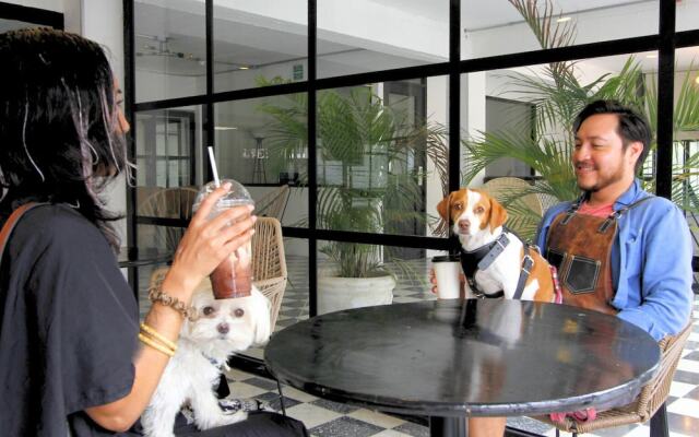 Joint Boutique Hotel