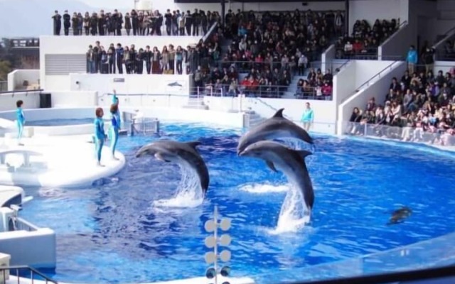 Kyoto Catholic House