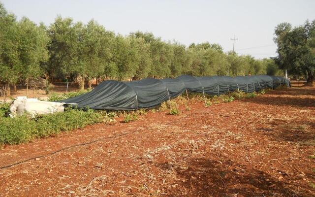 Villa Conte in Salento