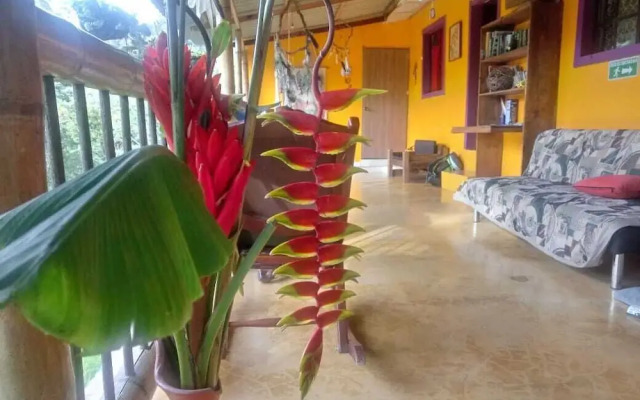 Posada Aguanile Finca La Diana