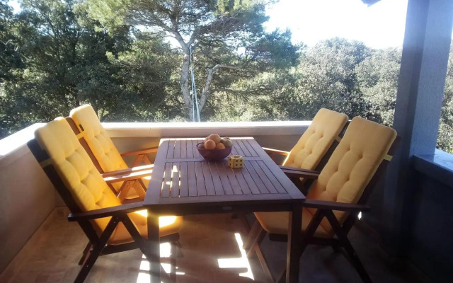 Apartment Silba 17603b