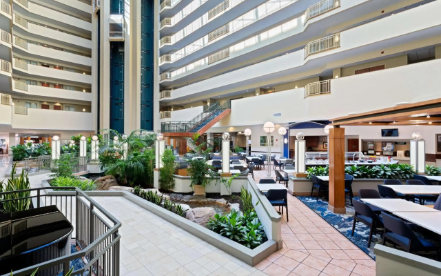 Embassy Suites by Hilton Tampa USF Near Busch Gardens