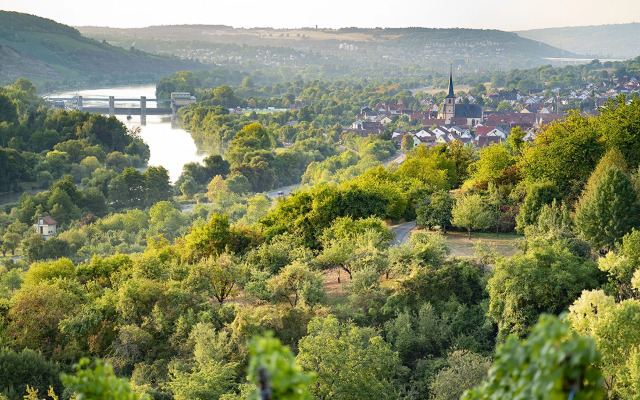 Weingut Martin Blass
