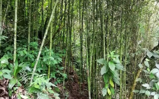 Hotel Villas De Rio Glamping & Camping