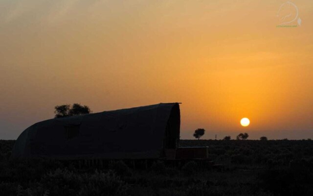 Amanya King Lion 1-bed Wigwam in Amboseli