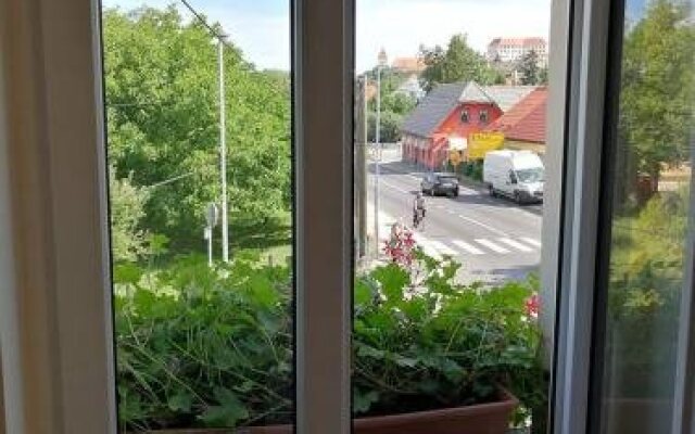 Hostel Sonce