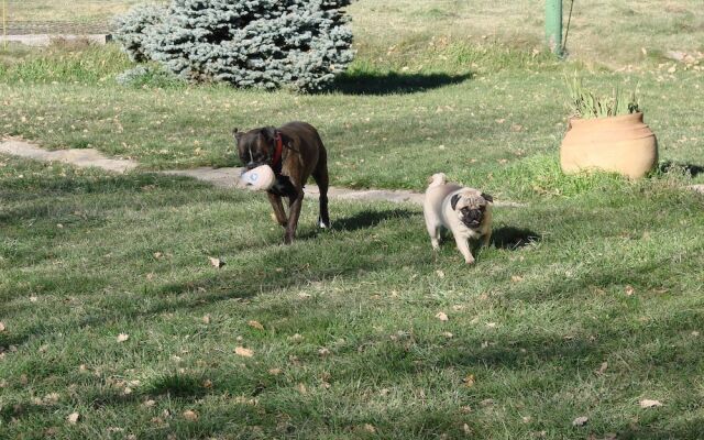 Complex Rural Can Caubet