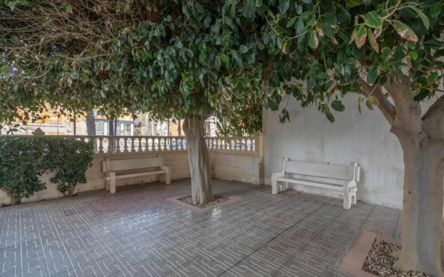 Apartamento Gallo Rojo