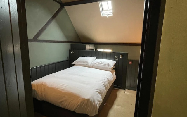 The Plume of Feathers