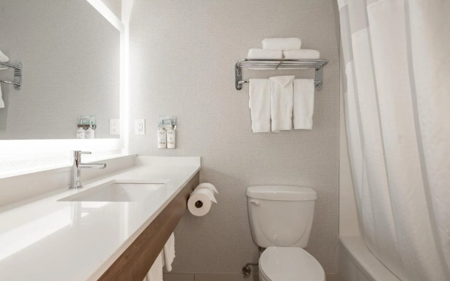 Holiday Inn Express & Suites Surrey by IHG