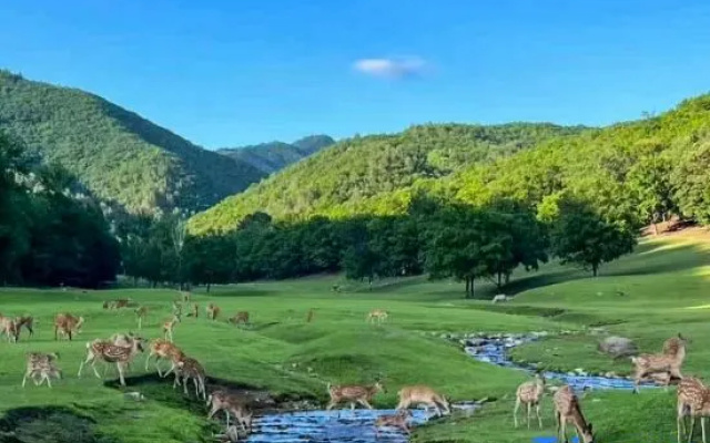 Yichun Dasha Hotel (Xing'an National Forest Park) – Outside – Yichun