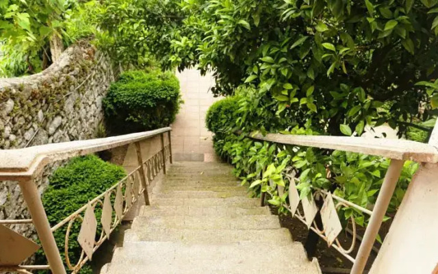 Guest House City Shkodra