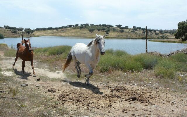 Herdade Naveterra Rural Lodge & Spa