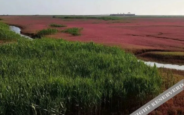 Panjin Naval Farmhouse