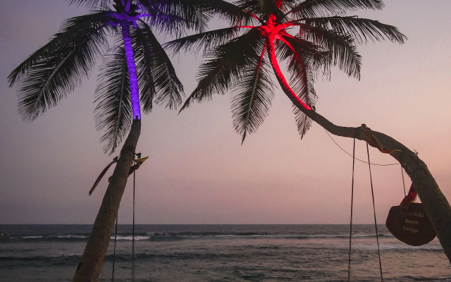 Mahi Mahi Hostel