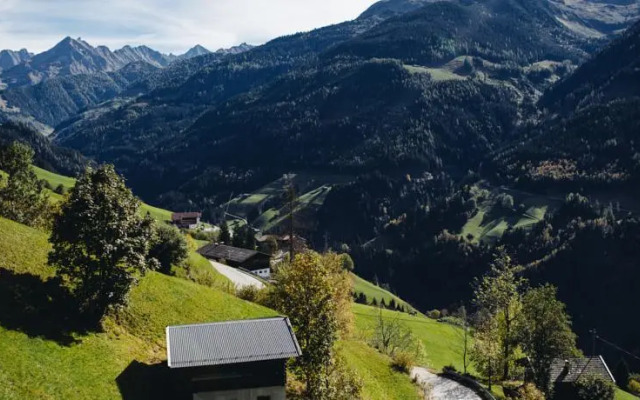 Bluebird Freeridebase Zillertal