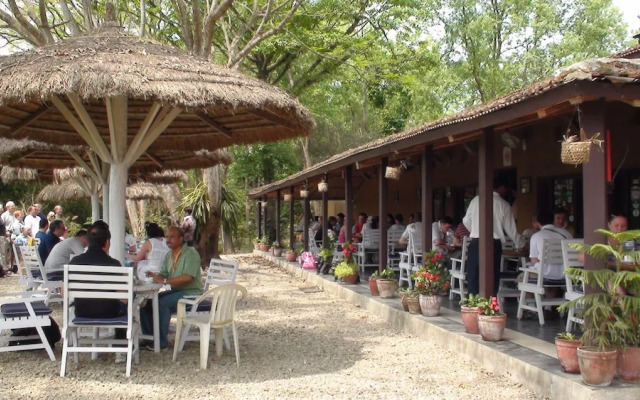 Safari Narayani Hotel- All Inclusive