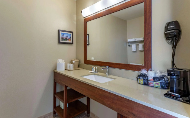 Comfort Inn & Suites Houston FM1960 - Champions