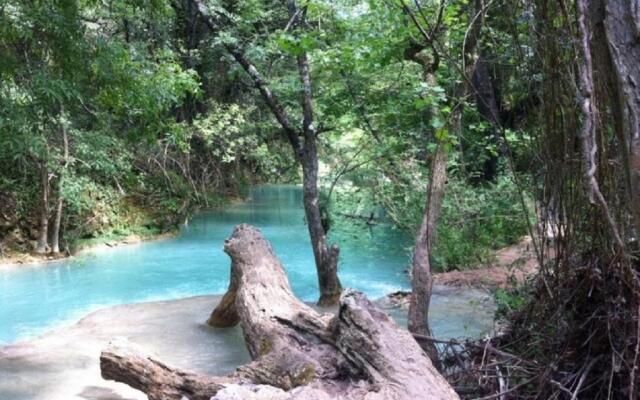la Mésange Bleue du VERDON