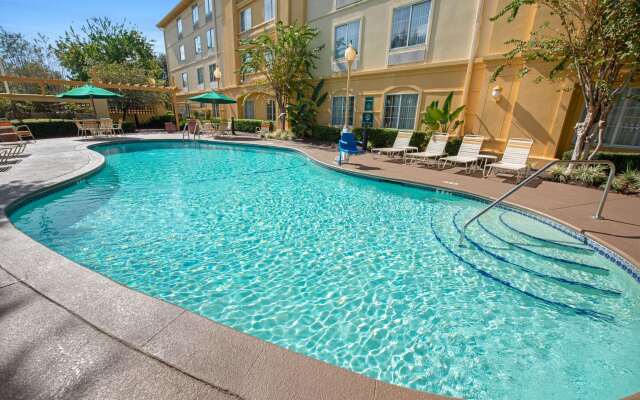 La Quinta Inn & Suites by Wyndham USF (Near Busch Gardens)