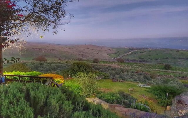 Sea Of Galilee Site
